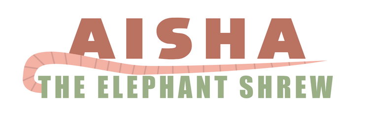Aisha The Elephant Shrew