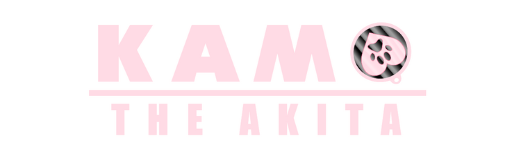 Kama The Akita