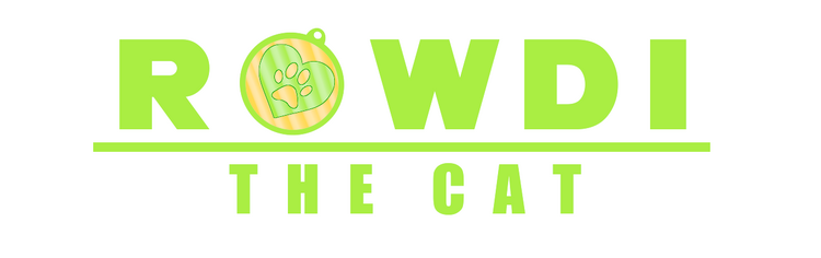 Rowdi The Siamese Cat